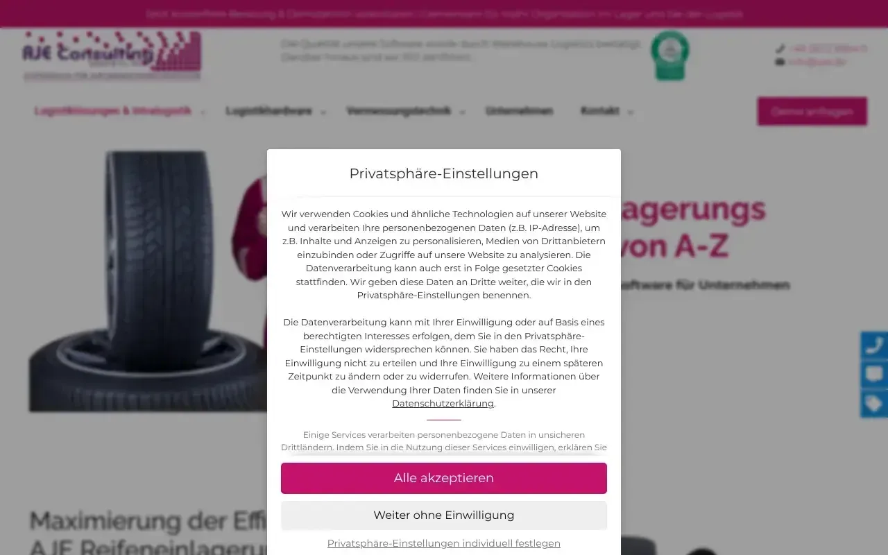 Screenshot von AJE Reifeneinlagerungs Software