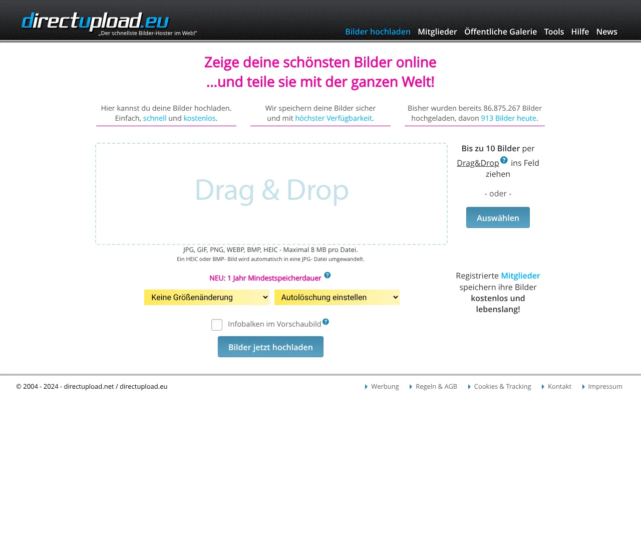 Vollständiger Screenshot von DirectUpload.eu