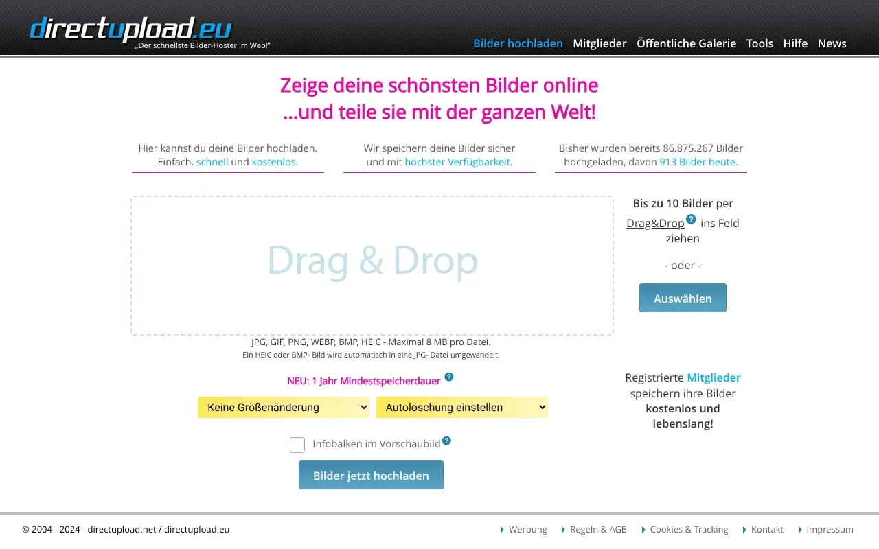 Screenshot von DirectUpload.eu