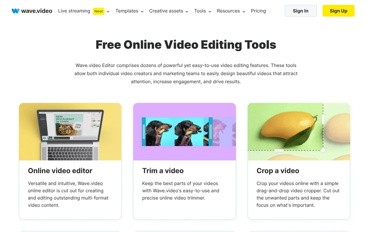 Screenshot von Wave.video